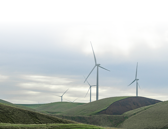 USA, California, Alemeda County, Redmond Cut: Altamont Pass Windmills in California generating renewable energy along Interstate 580, the Monagan Freeway.